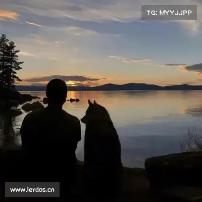 彭宇旻